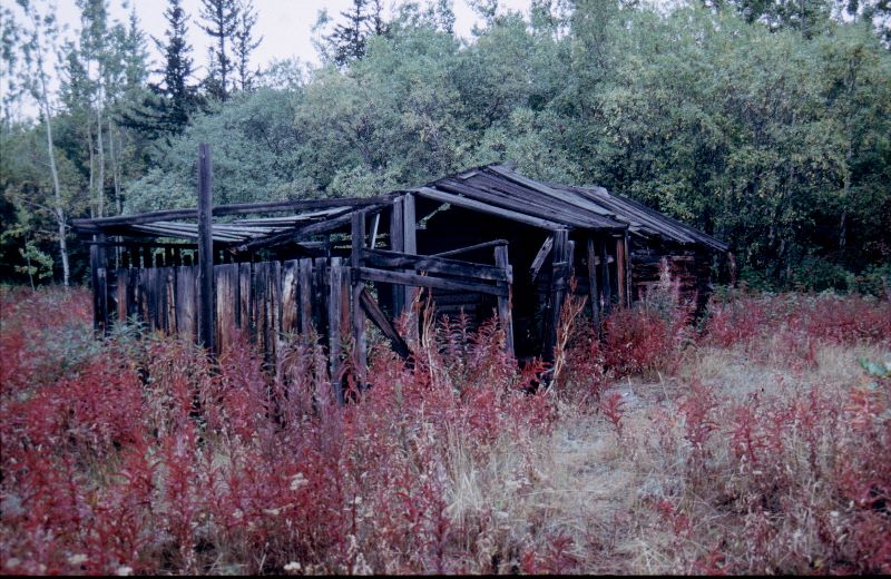 ../Images/022Lower Labarge Creek.jpg